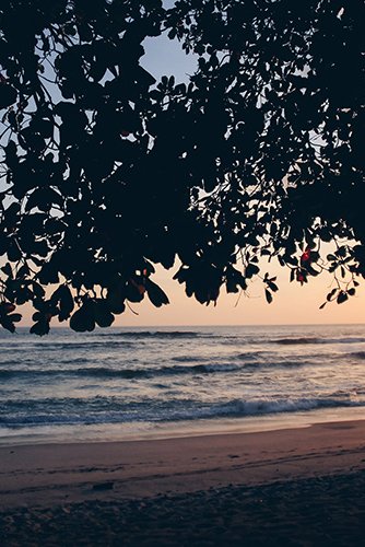Costa Rica’s is 2024’s Destination of the Year
