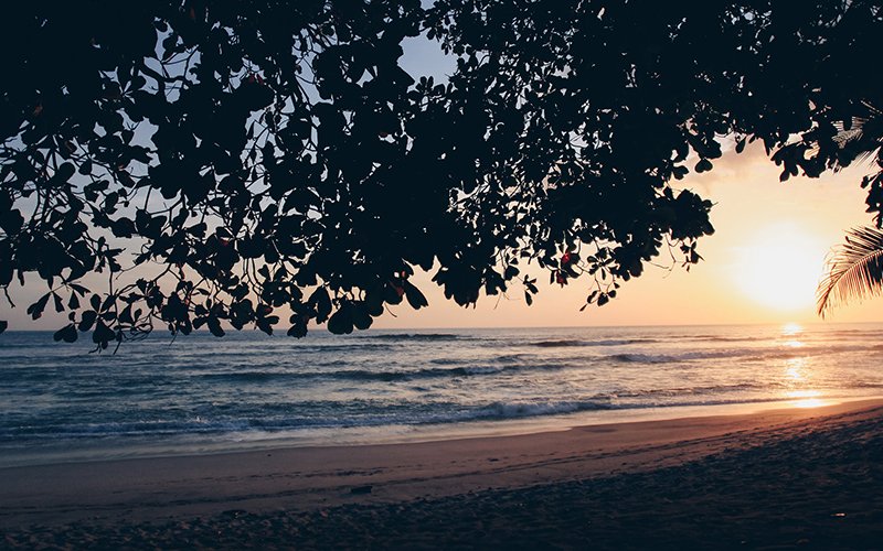 Costa Rica’s is 2024’s Destination of the Year