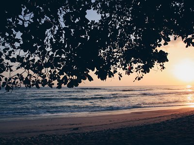 Costa Rica es el Destino del Año 2024