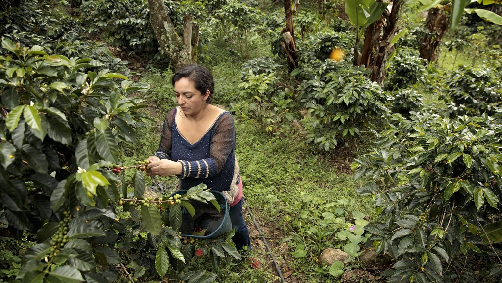 A new initiative empowers rural women in Costa Rica