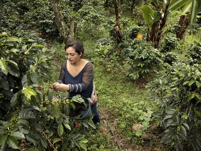 A new initiative empowers rural women in Costa Rica