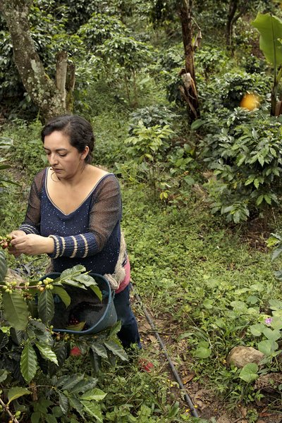A new initiative empowers rural women in Costa Rica