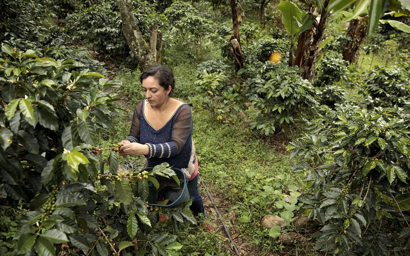 A new initiative empowers rural women in Costa Rica