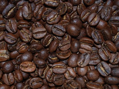 Costa Rican Coffee Shines On A Global Stage