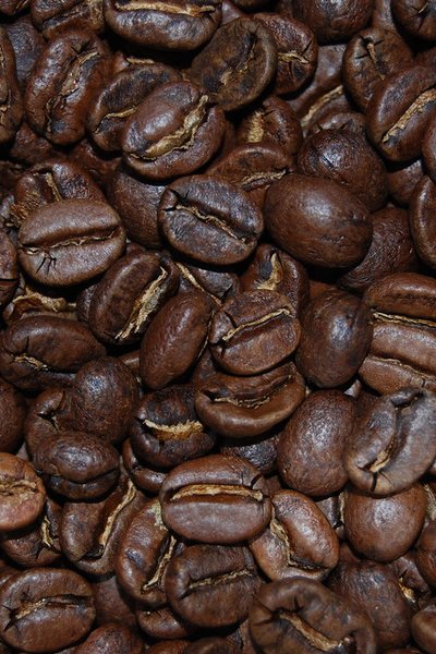 El Café Costarricense Brilla en un Escenario Global