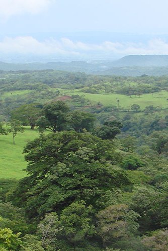 A new project looks to maximize Costa Rica’s wind power