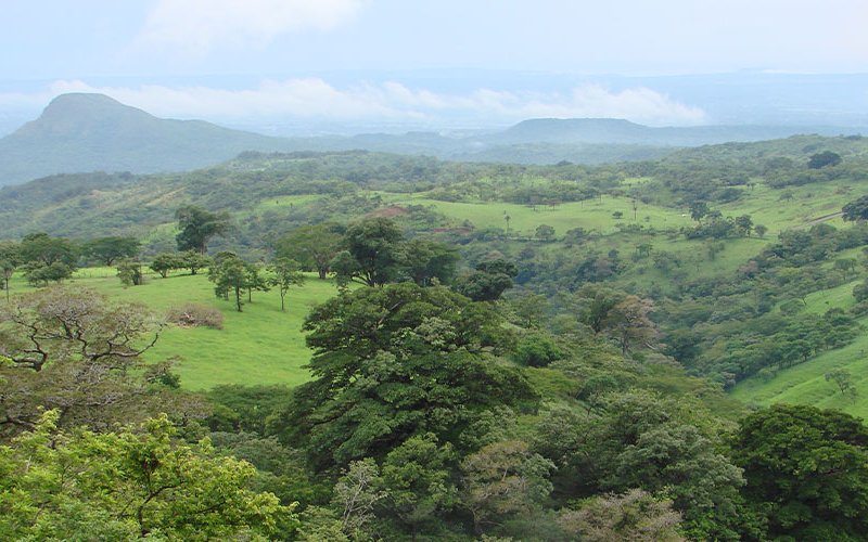 A new project looks to maximize Costa Rica’s wind power