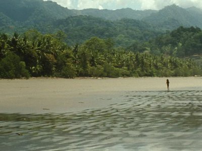 Costa Rica is the perfect wedding destination