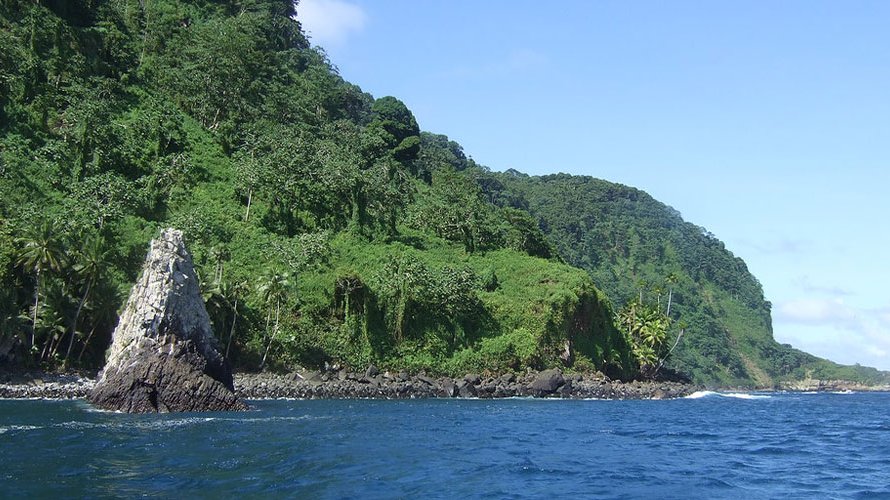 Two new plant species are discovered in Costa Rica