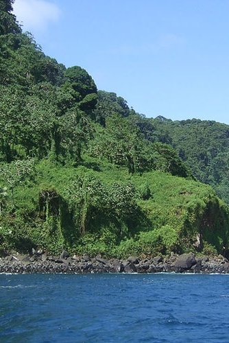 Two new plant species are discovered in Costa Rica