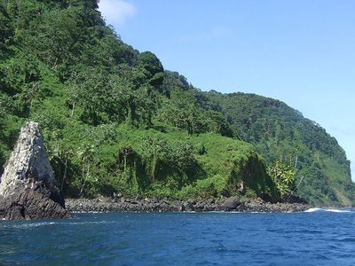 Two new plant species are discovered in Costa Rica