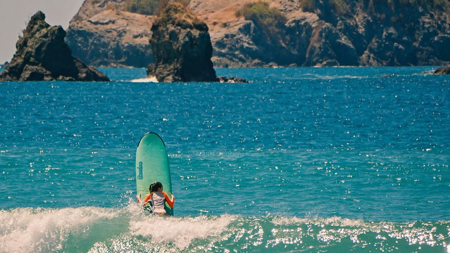 Navigating Quepos’ surfing ecosystem