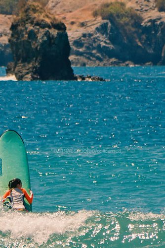 Navigating Quepos’ surfing ecosystem