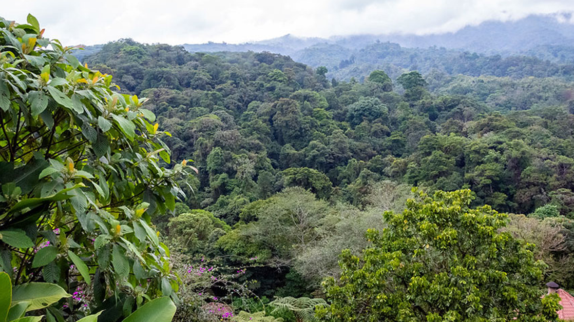 Costa Rica is the perfect wedding destination