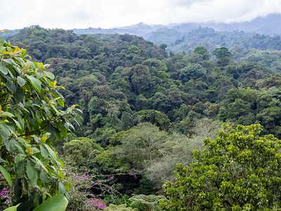 Costa Rica is the perfect wedding destination