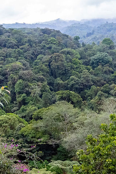 Costa Rica is the perfect wedding destination