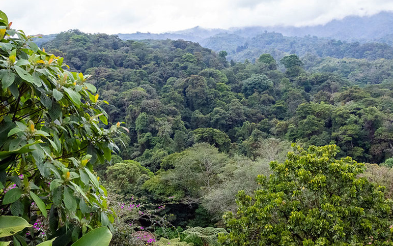Costa Rica es el destino de bodas perfecto