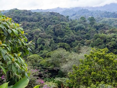 British readers name Costa Rica the world’s best emerging destination