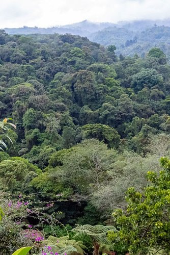British readers name Costa Rica the world’s best emerging destination