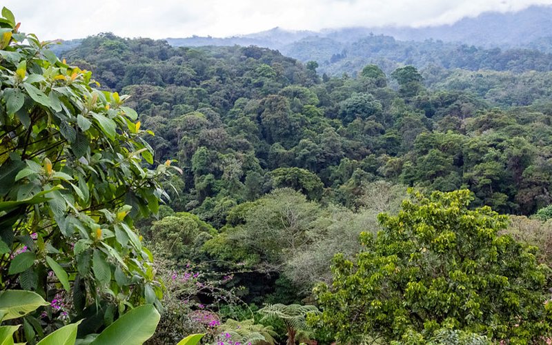Lectores británicos nombran a Costa Rica el mejor destino emergente del mundo