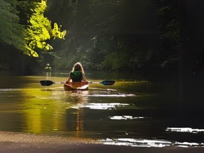 Costa Rica follows up historic 2024 aiming for global outreach