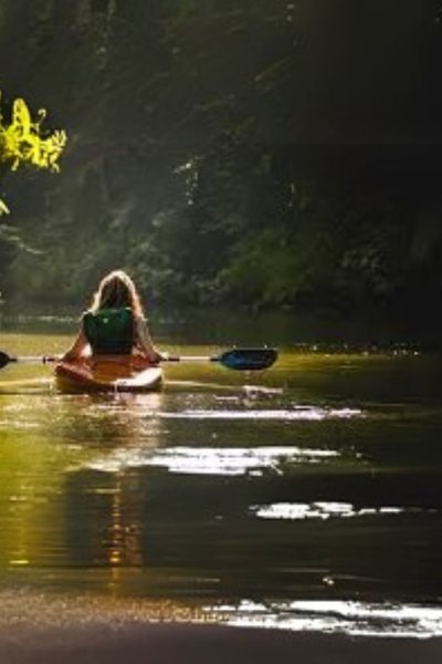 Costa Rica sigue al histórico 2024 apuntando a un alcance global