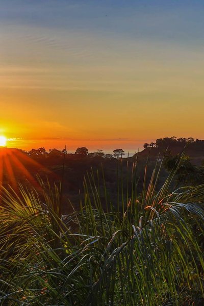 El lujo de lo salvaje: Villas en Manuel Antonio, Costa Rica