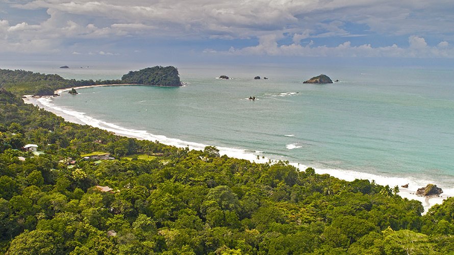 A November to Remember