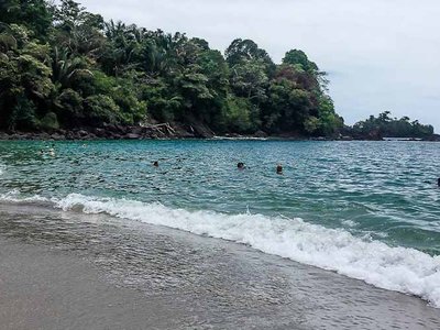 Parque Nacional Manuel Antonio: Guía para Visitantes