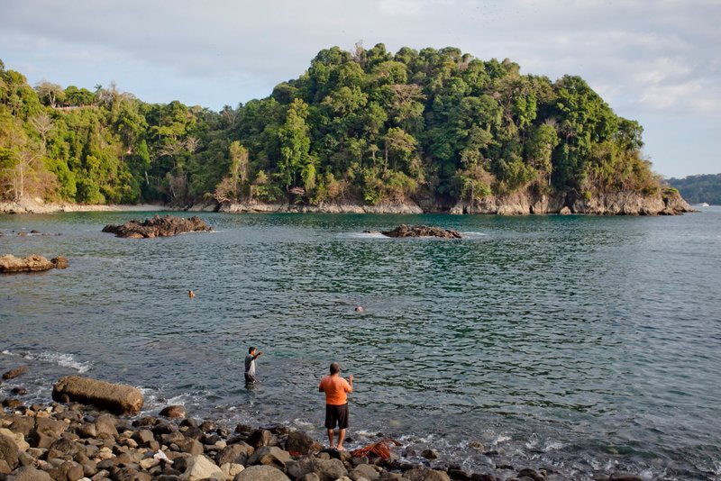 Una cala de Manuel Antonio donde la selva se encuentra con el mar