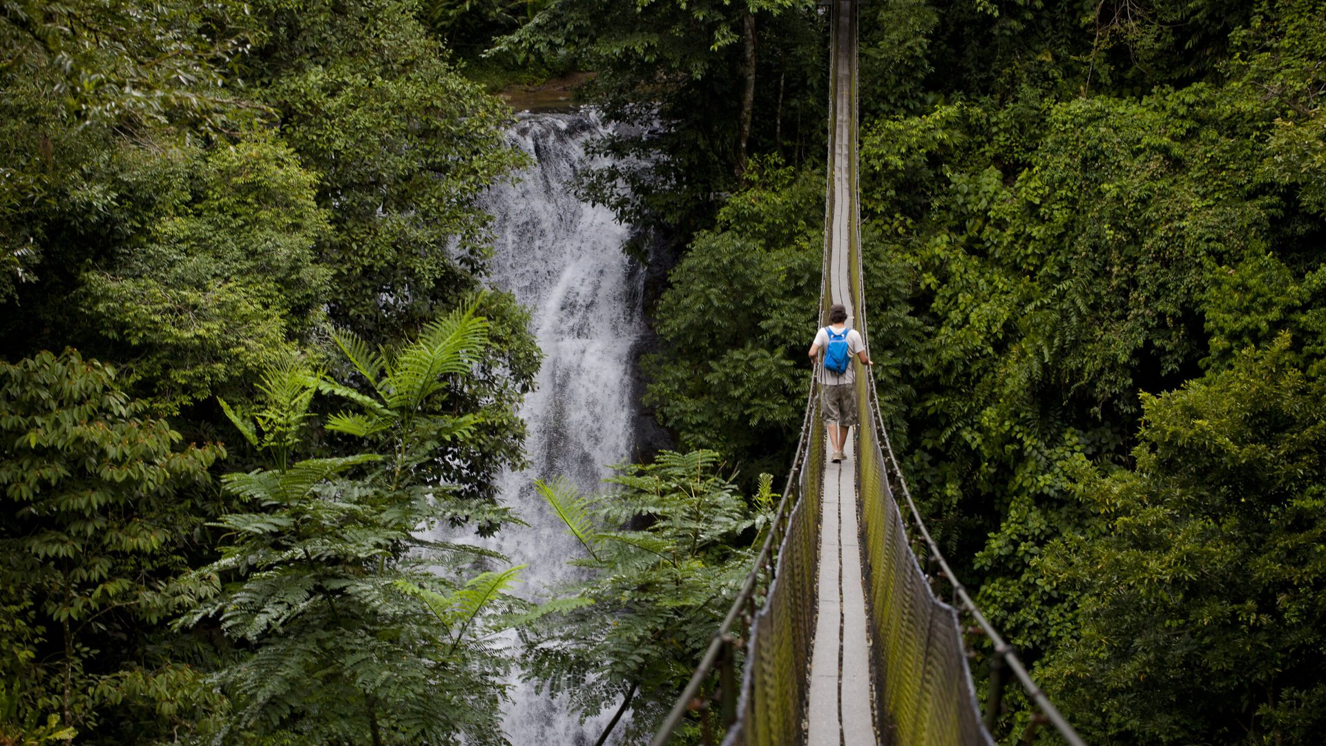 The Ultimate Luxury: Experiencing Manuel Antonio in the Green Season