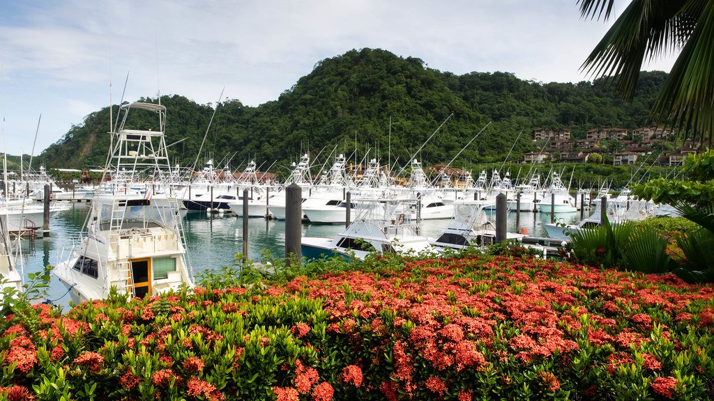 The Vital Role of Marinas in Costa Rica’s Coastal Tourism