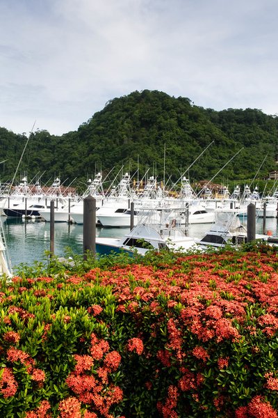 The Vital Role of Marinas in Costa Rica’s Coastal Tourism
