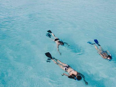 5 Actividades Imperdibles en Manuel Antonio