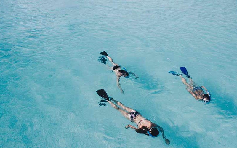 5 Actividades Imperdibles en Manuel Antonio