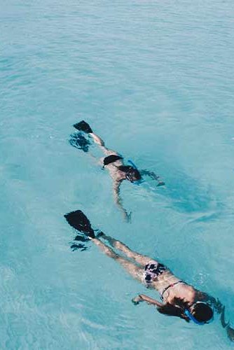 5 Things You Have to Do When Visiting Manuel Antonio