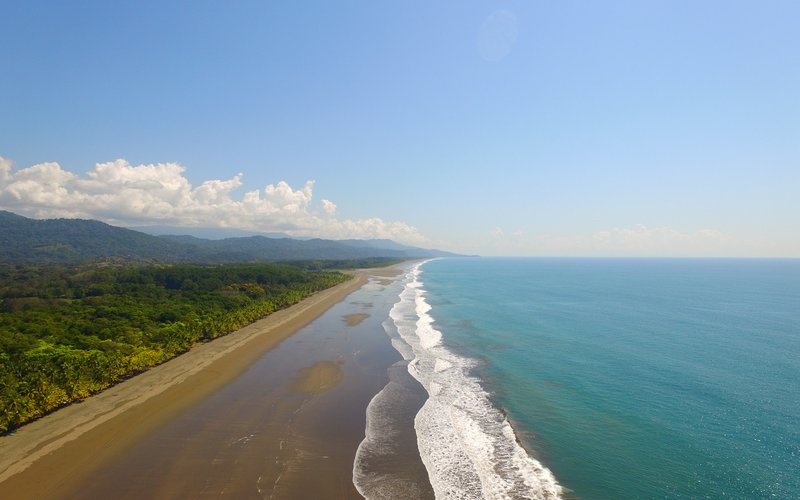 El lujo de lo salvaje: Villas en Manuel Antonio, Costa Rica