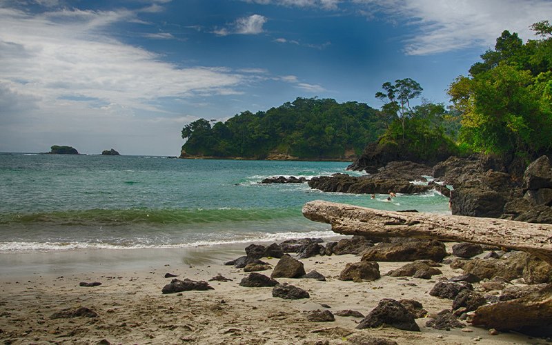 Prepare for the whale-watching season in one of Costa Rica’s definitive destinations