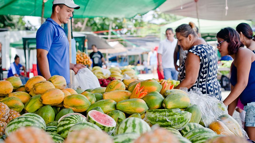 What to do in Quepos/Manuel Antonio on a Pandemic Friday?