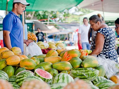 What to do in Quepos/Manuel Antonio on a Pandemic Friday?