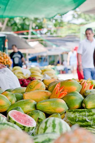 What to do in Quepos/Manuel Antonio on a Pandemic Friday?